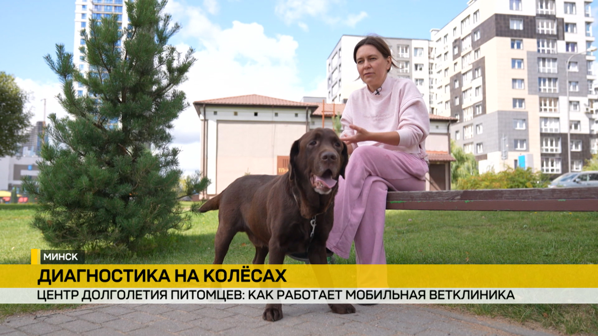 В Беларуси работает центр долголетия домашних питомцев